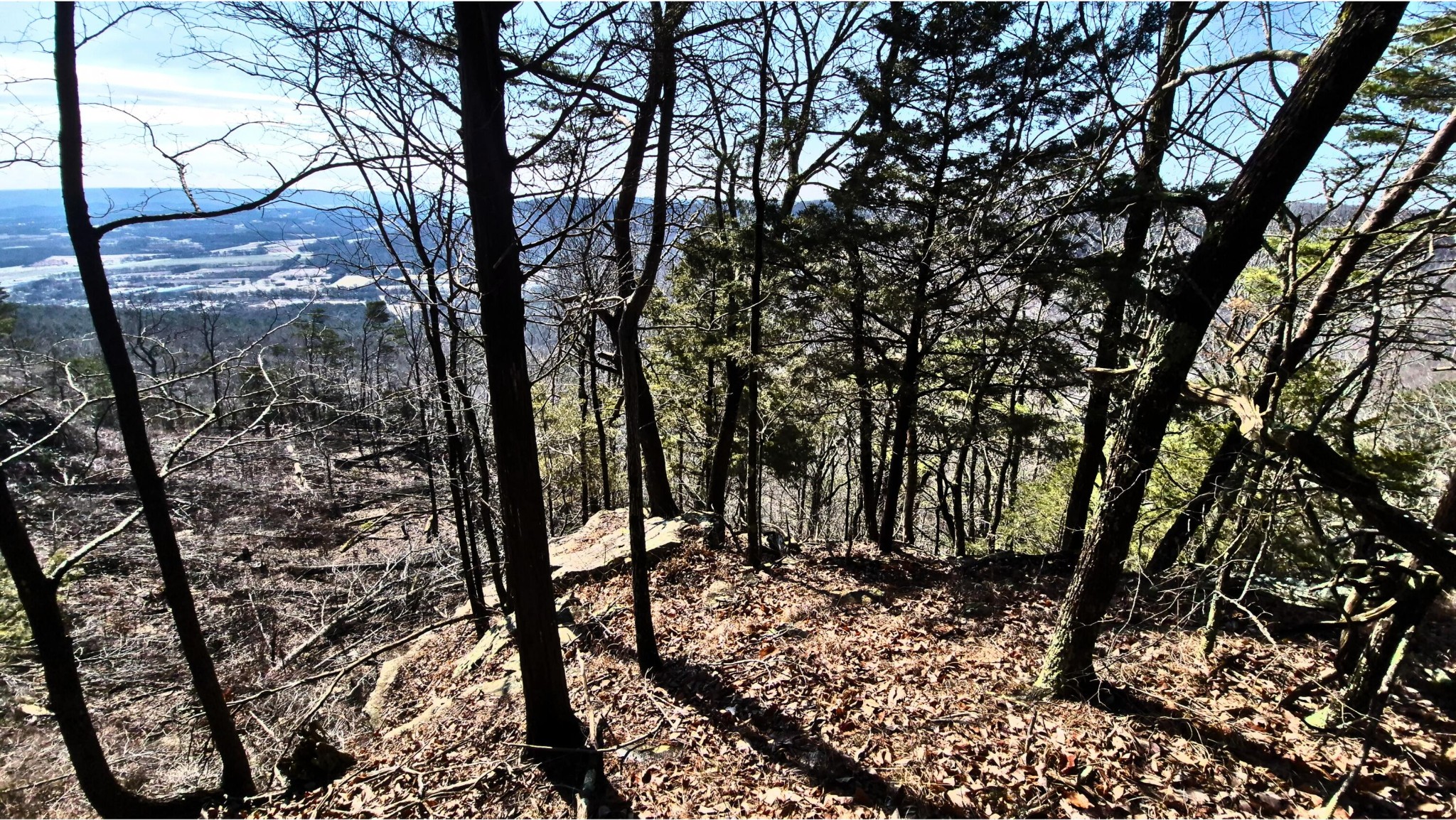 9 Lodge Point Road South Pittsburg, TN 37380 - Photo 10 of 26