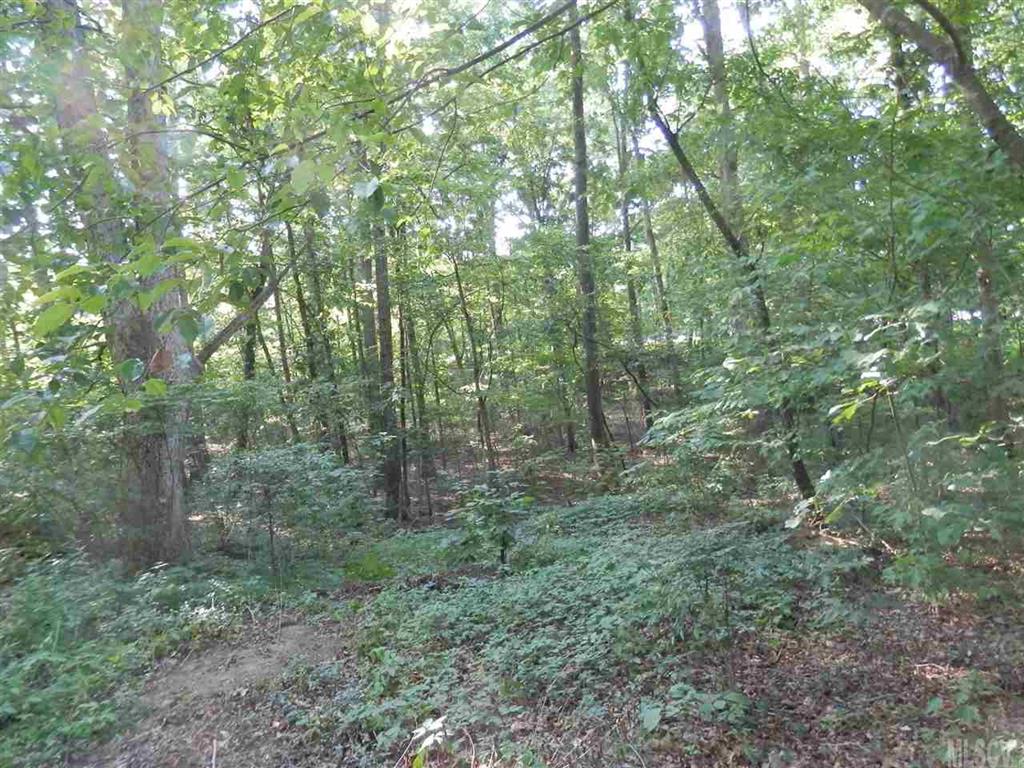 0 Walt Arney Road Lenoir, NC 28645 - Photo 1 of 6 Gallery Image 1