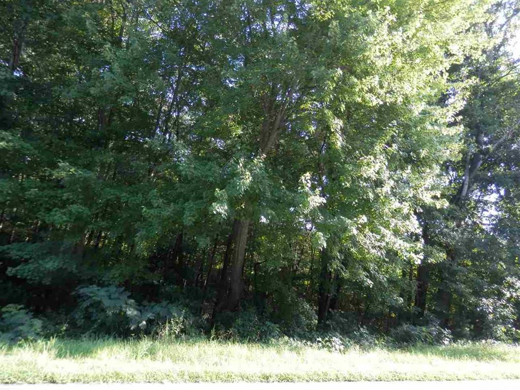 0 Walt Arney Road Lenoir, NC 28645 - Photo 2 of 6 Gallery Image 2