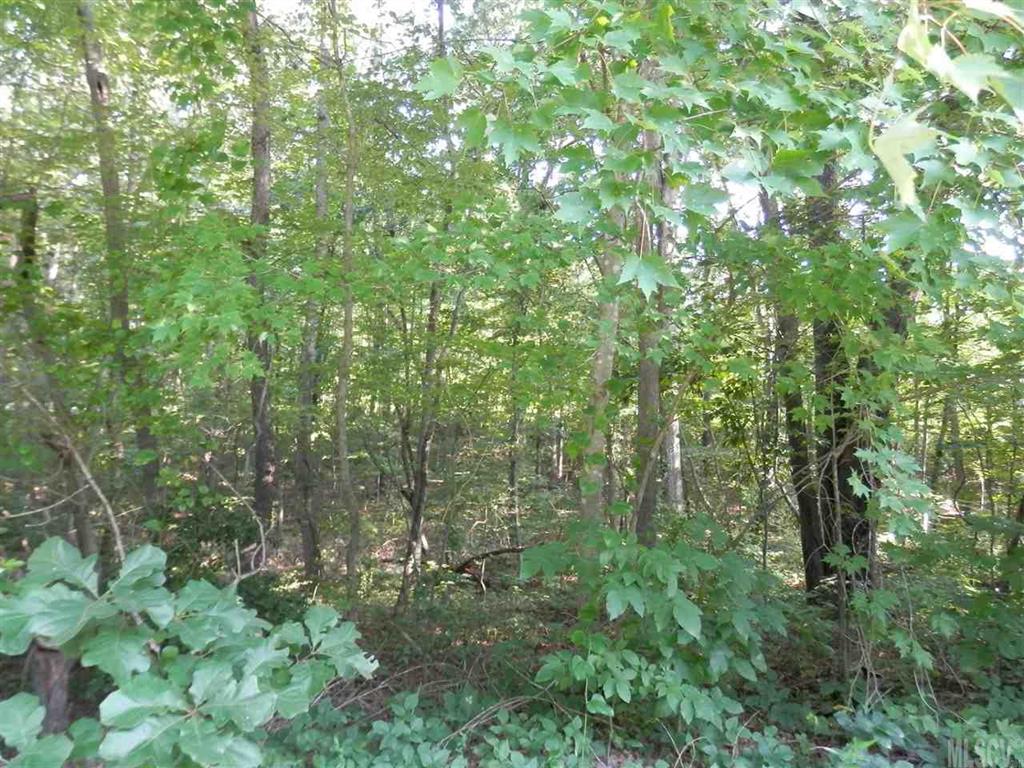 0 Walt Arney Road Lenoir, NC 28645 - Photo 3 of 6 Gallery Image 3
