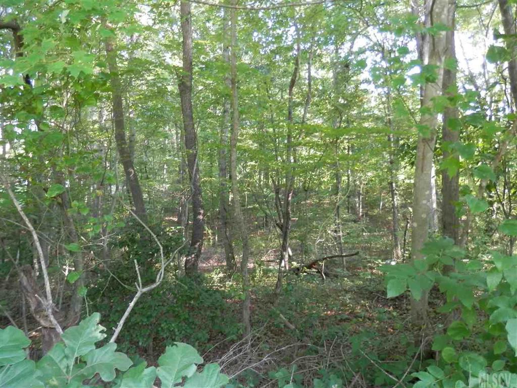 0 Walt Arney Road Lenoir, NC 28645 - Photo 4 of 6 Gallery Image 4