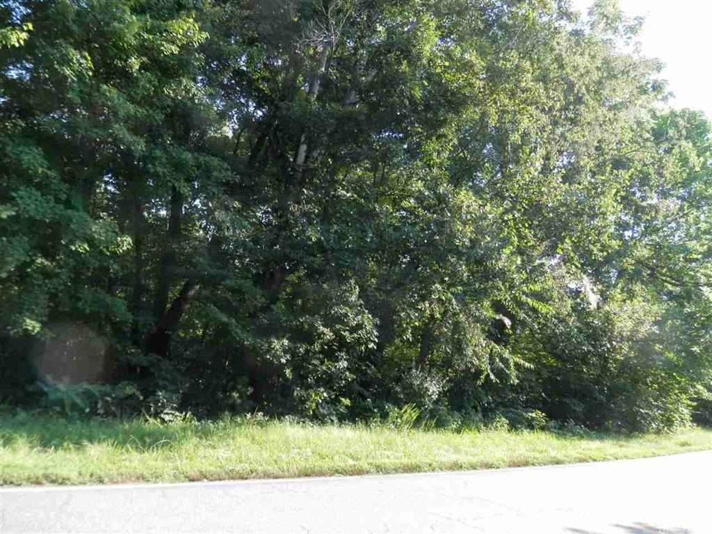 0 Walt Arney Road Lenoir, NC 28645 - Photo 6 of 6 Gallery Image 6