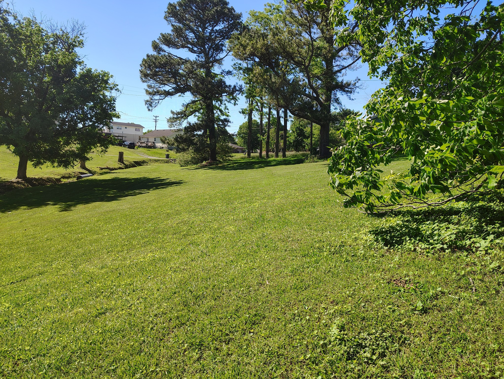 0 Short Street Lafayette, TN 37083 - Photo 6 of 8