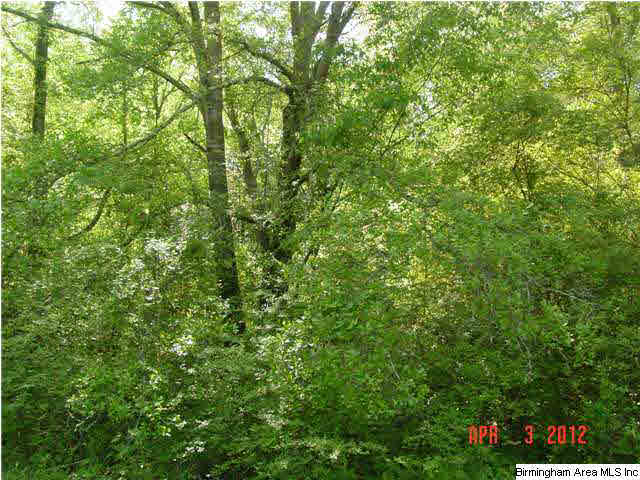 Mcintosh Road, Unit 4 Oxford, AL 36203 - Photo 10 of 24 Gallery Image 10