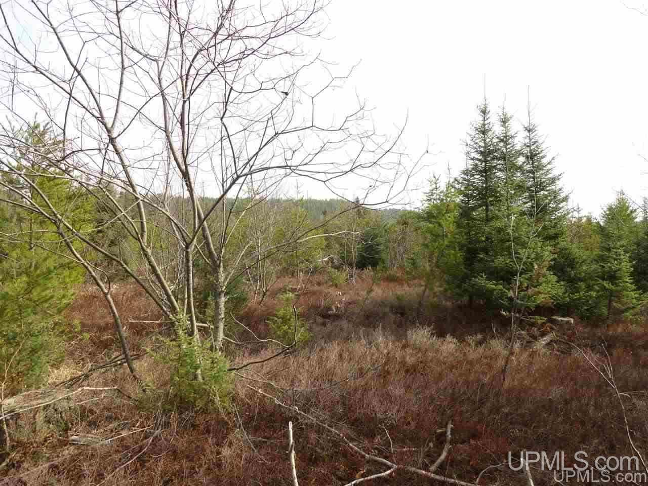 80-acres 80-acres Co Road Negaunee, MI 49866 - Photo 35 of 45