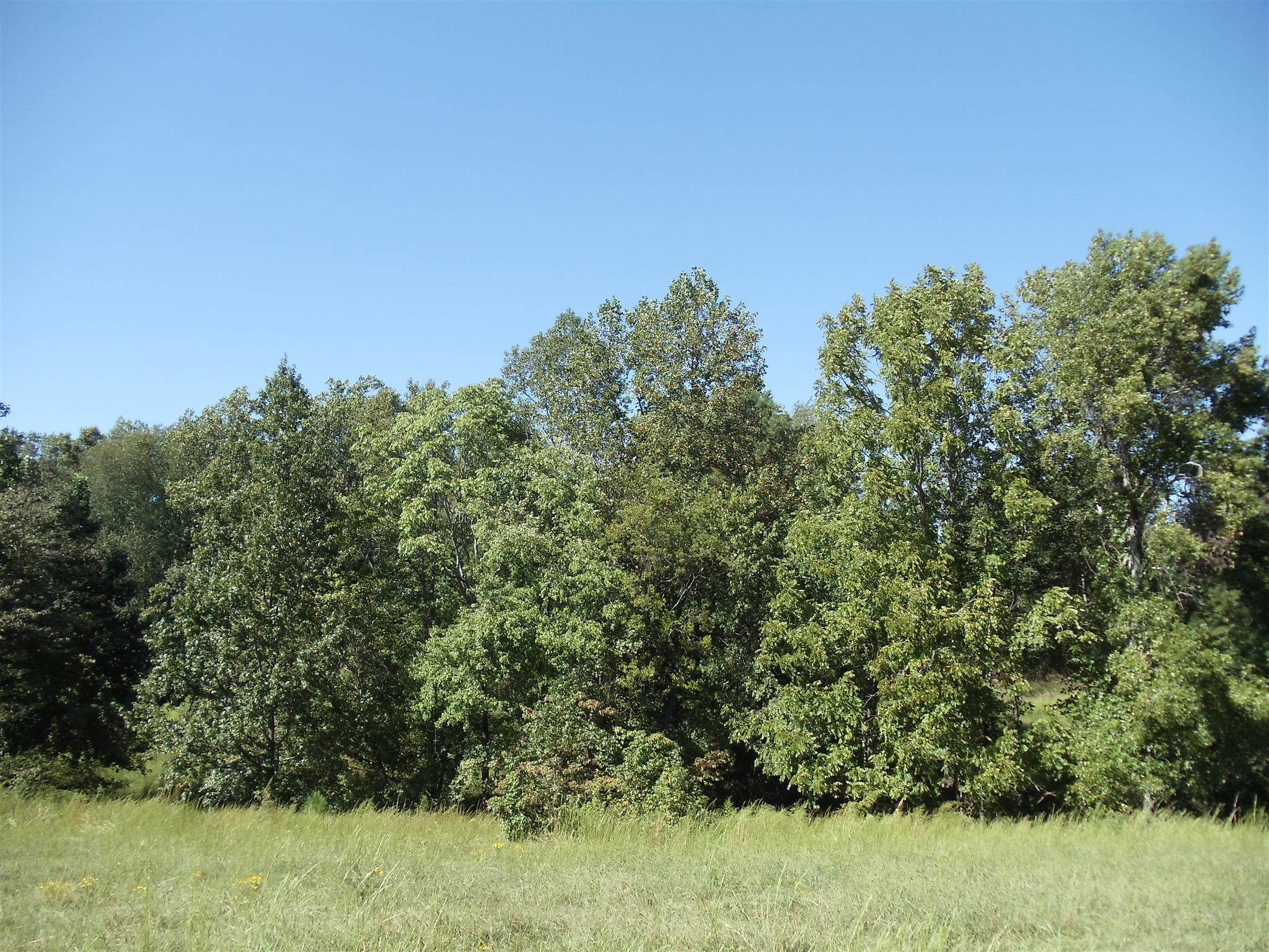0 Love Cemetery Road Prospect, TN 38477 - Photo 1 of 4 a view of a bunch of trees