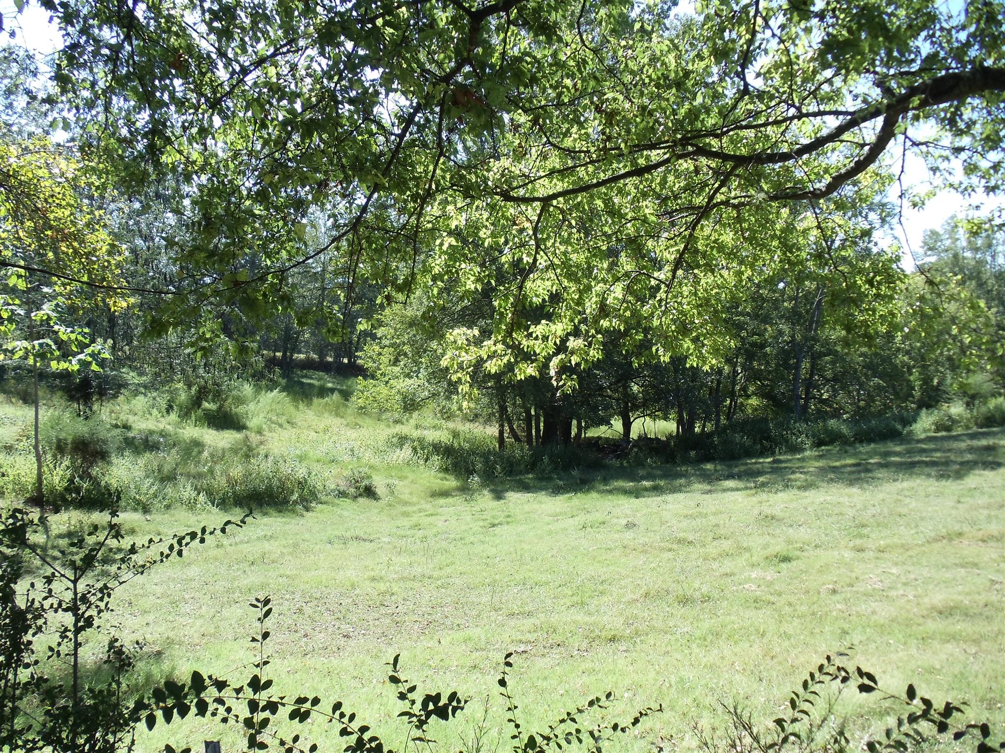 0 Love Cemetery Road Prospect, TN 38477 - Photo 2 of 4 a view of outdoor space with a lake view