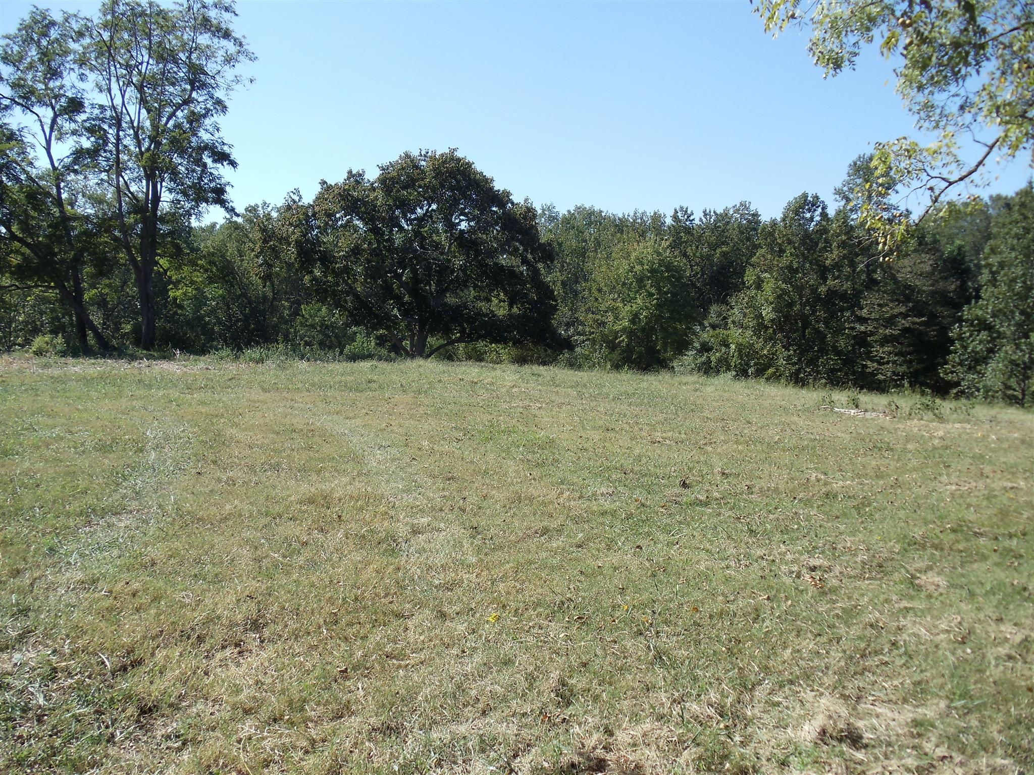 0 Love Cemetery Road Prospect, TN 38477 - Photo 3 of 4 a view of an outdoor space and a yard