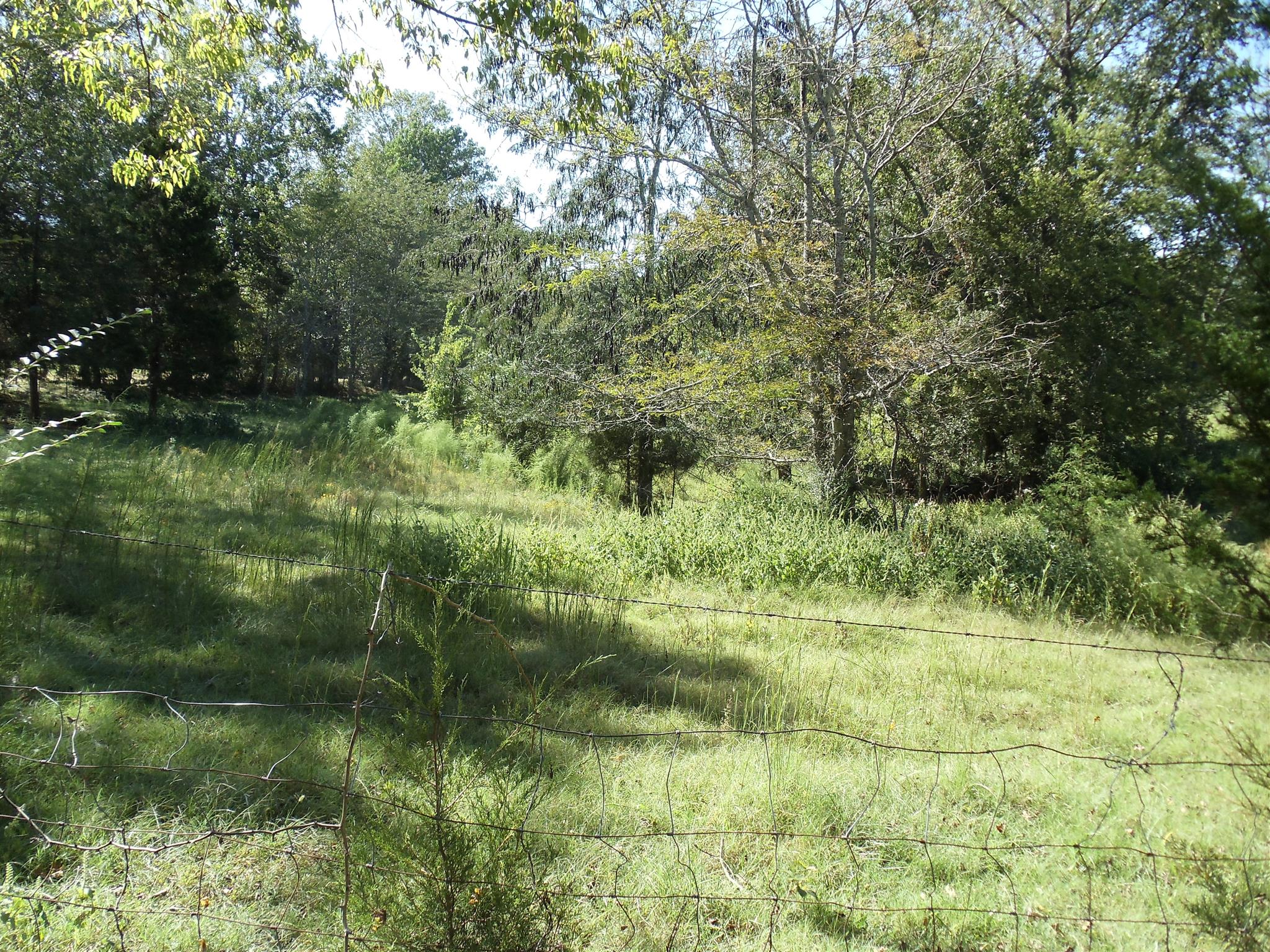 0 Love Cemetery Road Prospect, TN 38477 - Photo 4 of 4 a view of outdoor space and trees
