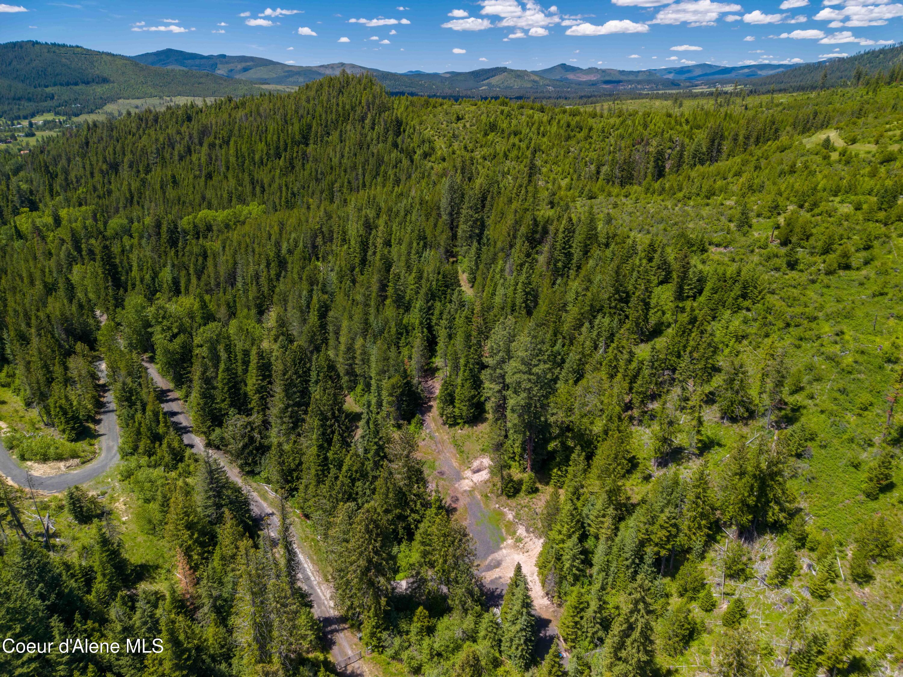 1314 Finn Creek Road Fernwood, ID 83830 - Photo 17 of 23 June 11 2026 (20 of 20)