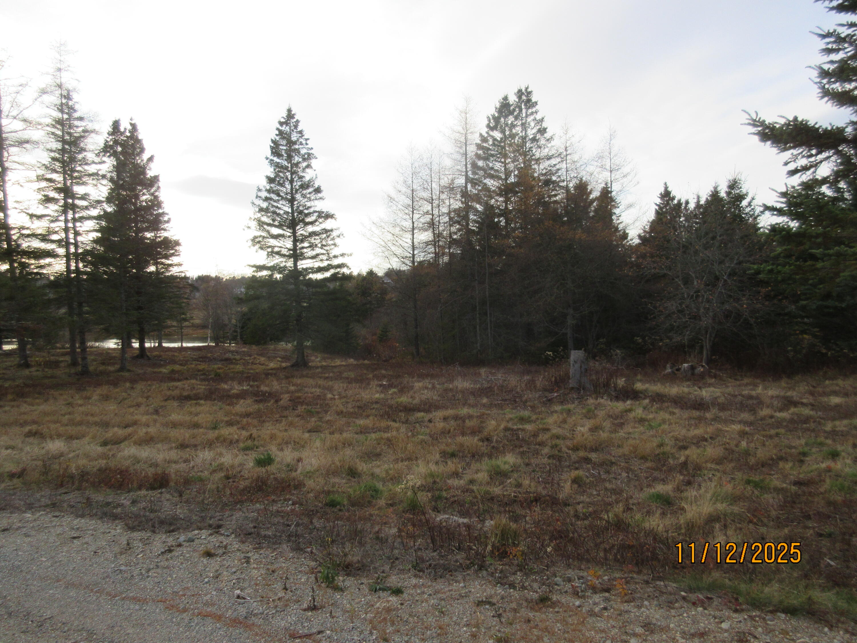 Lot 2 Smalls Point Road Machiasport, ME 04655 - Photo 3 of 4 Property