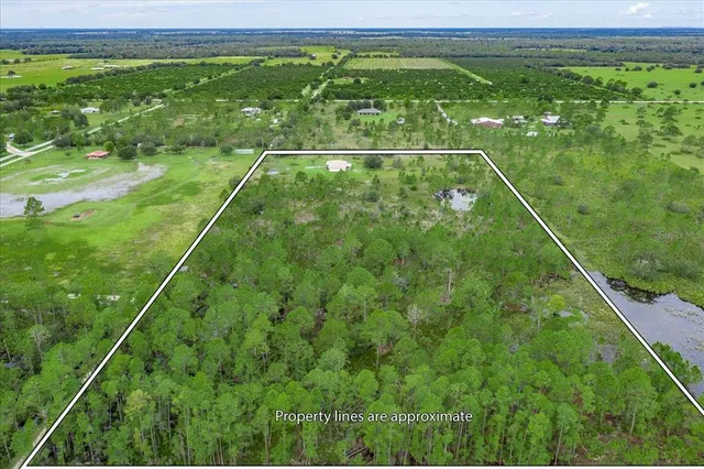 a view of a lush green field