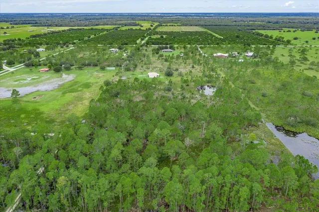 a view of a green field with lots of green bushes