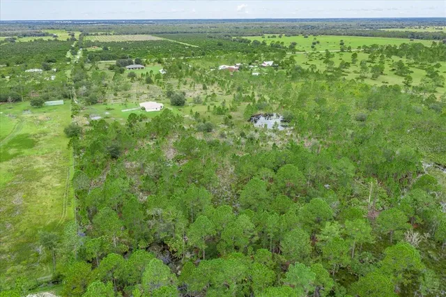 a view of a lush green field