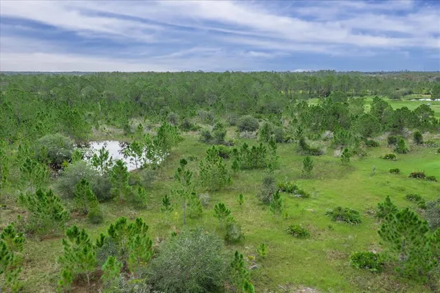 a view of a big yard with a house in the background