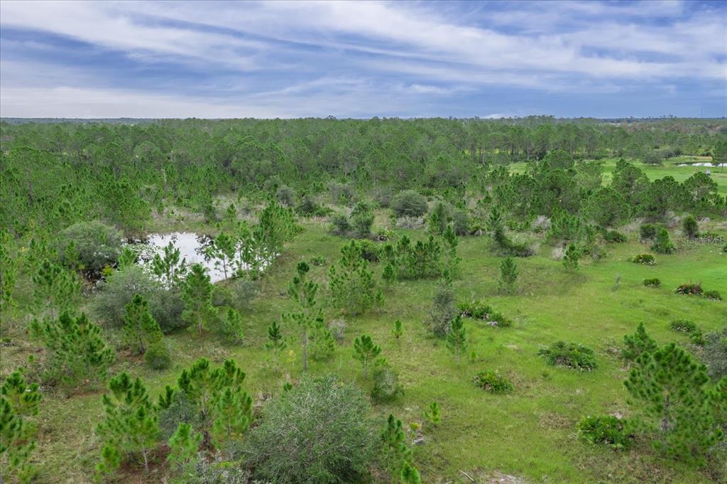 30 Milky Way Venus, FL 33960 - Photo 34 of 45 a view of a lush green field
