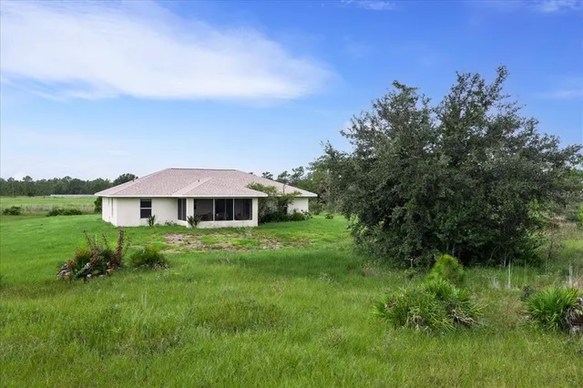 a view of a lush green forest