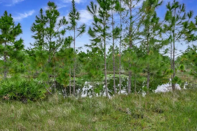 a view of a garden with a building in the background