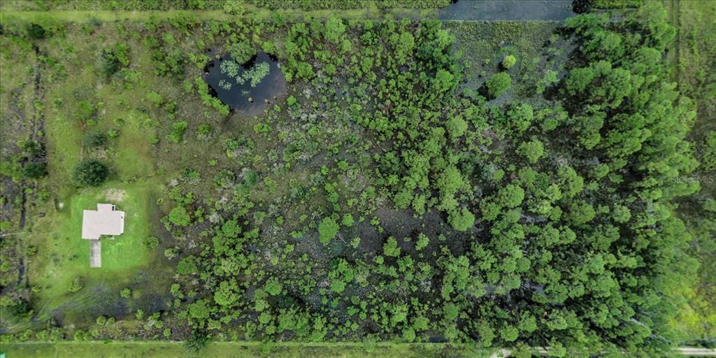 30 Milky Way Venus, FL 33960 - Photo 43 of 45 a view of a lush green forest