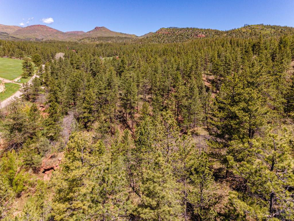 Tbd North Northcreek Road Beulah, CO 81023 - Photo 3 of 8