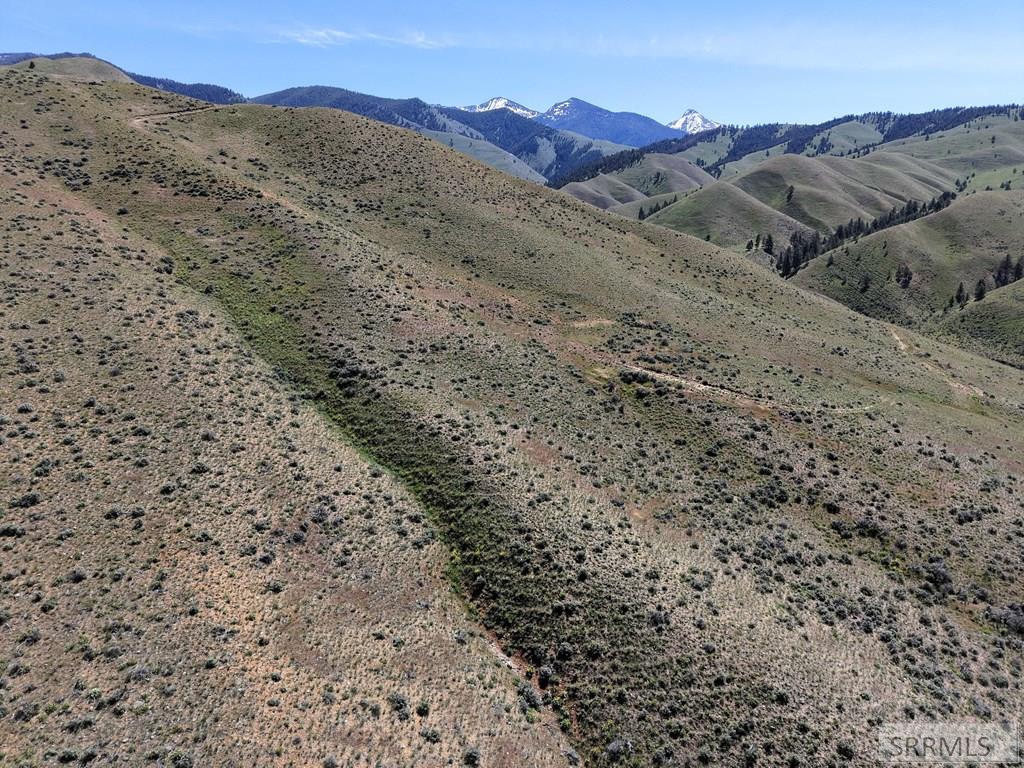 Nkn East Tower Creek Road Carmen, ID 83462 - Photo 47 of 63