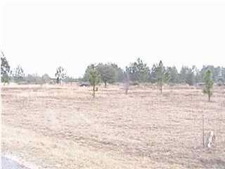 1 American Farms Road Milton, FL 32583 - Photo 1 of 1