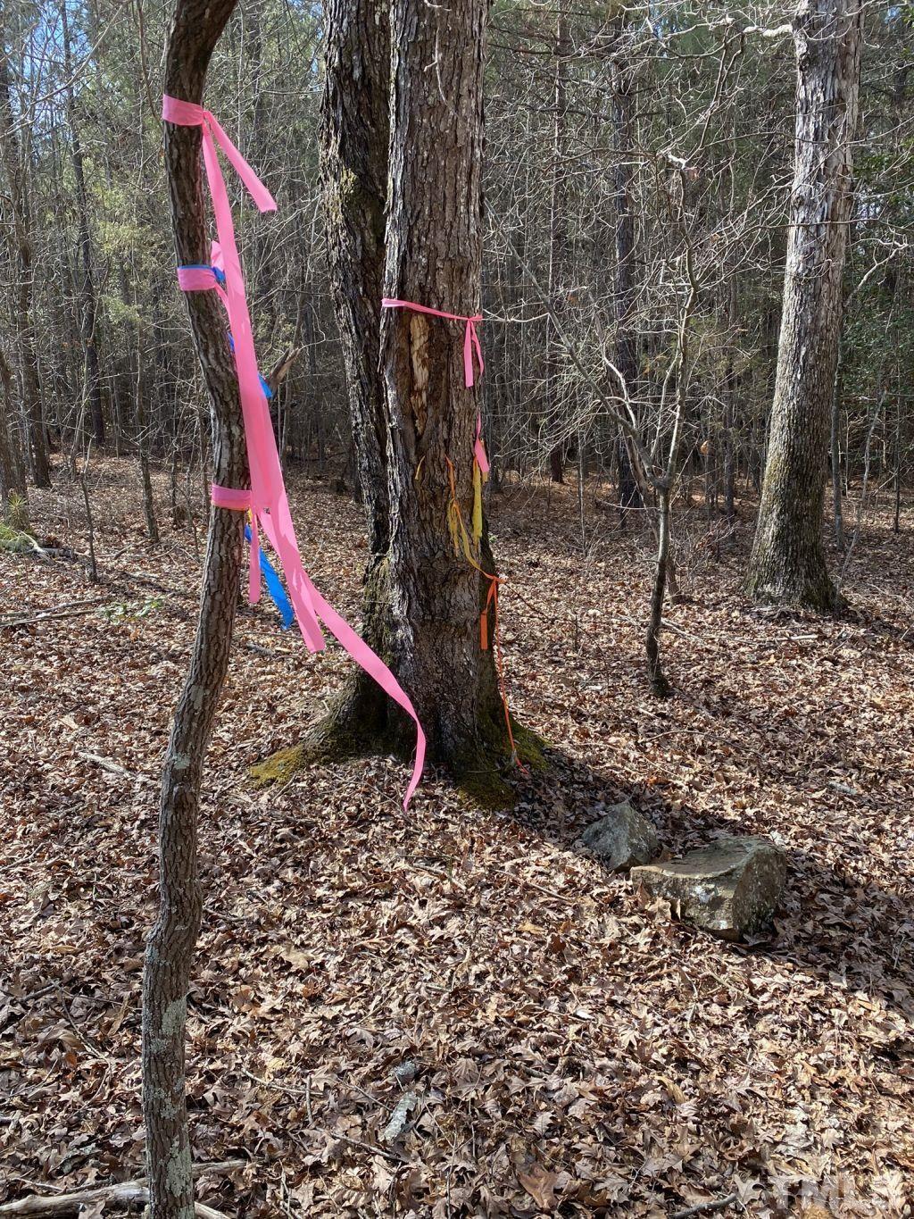 Tbd St Lukes Church Road Goldston, NC 27252 - Photo 12 of 15 Gallery Image 12