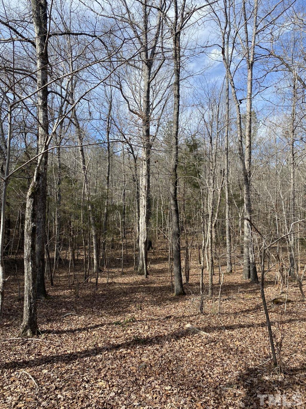 Tbd St Lukes Church Road Goldston, NC 27252 - Photo 13 of 15 Gallery Image 13