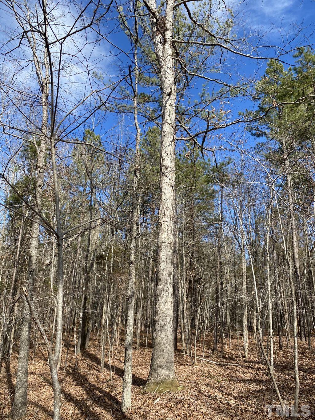 Tbd St Lukes Church Road Goldston, NC 27252 - Photo 14 of 15 Gallery Image 14