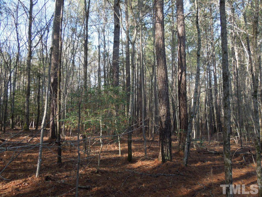 Tbd St Lukes Church Road Goldston, NC 27252 - Photo 2 of 15 Gallery Image 2