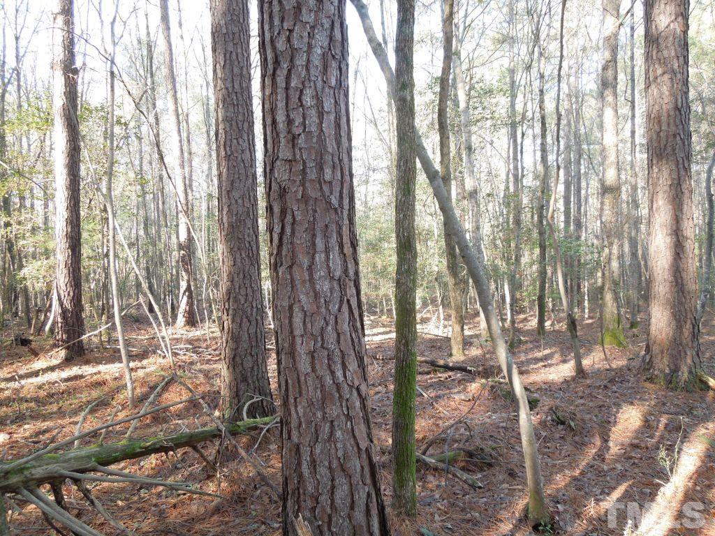 Tbd St Lukes Church Road Goldston, NC 27252 - Photo 4 of 15 Gallery Image 4