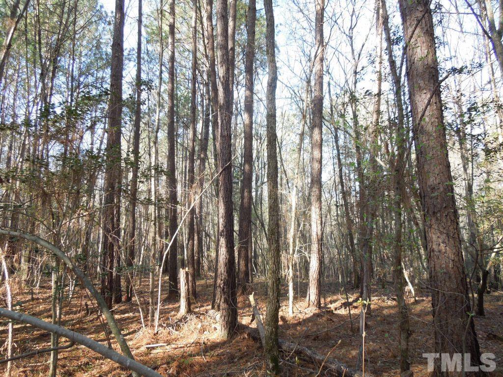 Tbd St Lukes Church Road Goldston, NC 27252 - Photo 5 of 15 Gallery Image 5