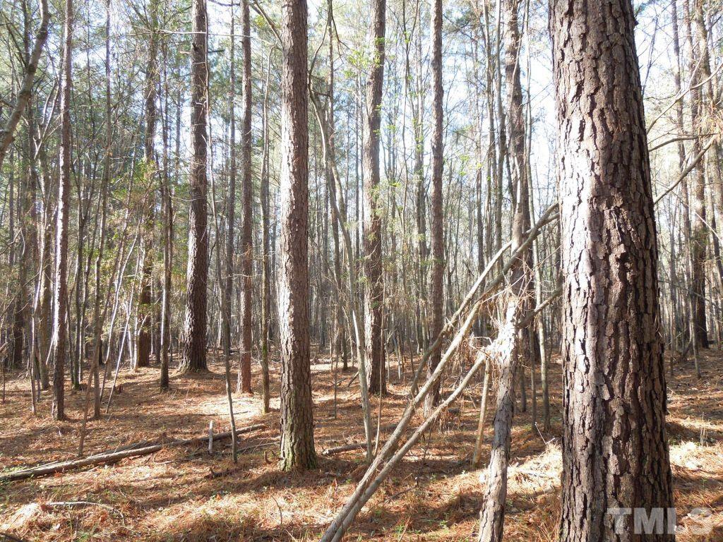 Tbd St Lukes Church Road Goldston, NC 27252 - Photo 6 of 15 Gallery Image 6