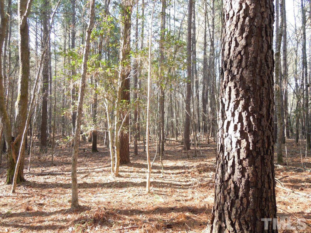 Tbd St Lukes Church Road Goldston, NC 27252 - Photo 7 of 15 Gallery Image 7