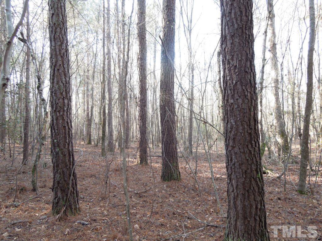 Tbd St Lukes Church Road Goldston, NC 27252 - Photo 8 of 15 Gallery Image 8