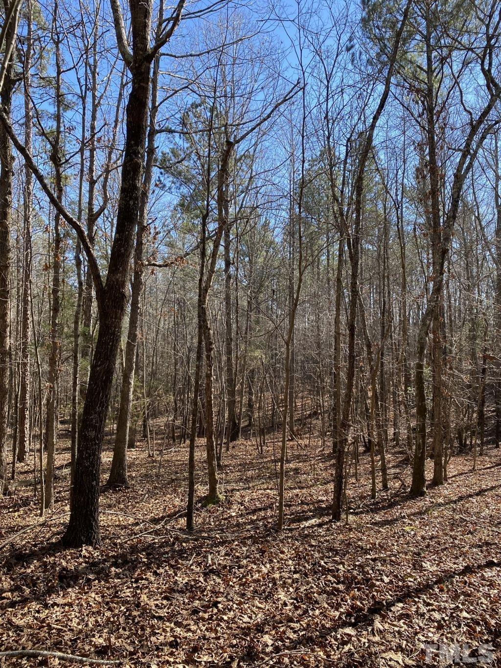 Tbd St Lukes Church Road Goldston, NC 27252 - Photo 10 of 15 Gallery Image 10