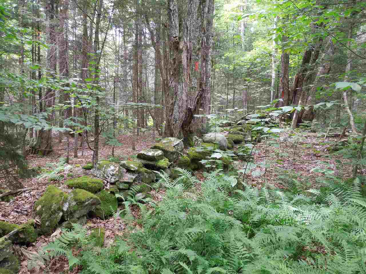3 Eastham Road Shrewsbury, VT 05738 - Photo 3 of 3