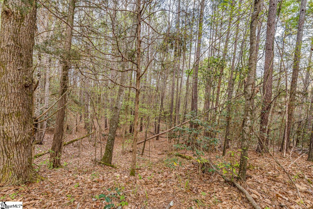D D Ball Park Road Enoree, SC 29335 - Photo 3 of 5