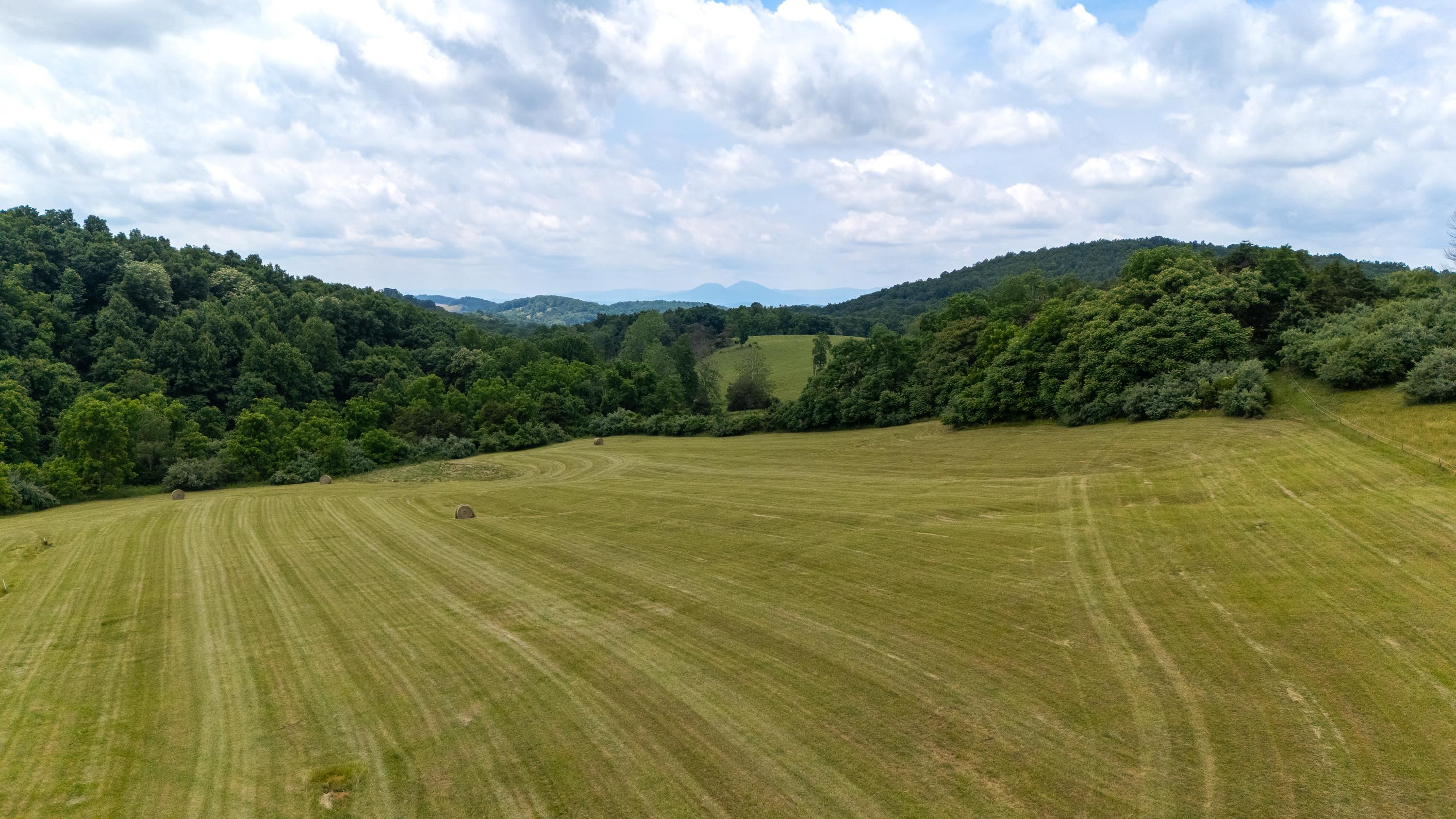 25 Koogler Trail Raphine, VA 24472 - Photo 12 of 16 a view of a yard with an outdoor space