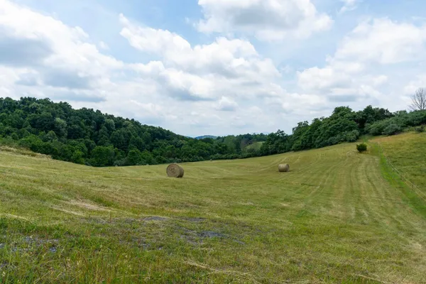 $170,000 | 25 Koogler Trail, Raphine, VA 24472