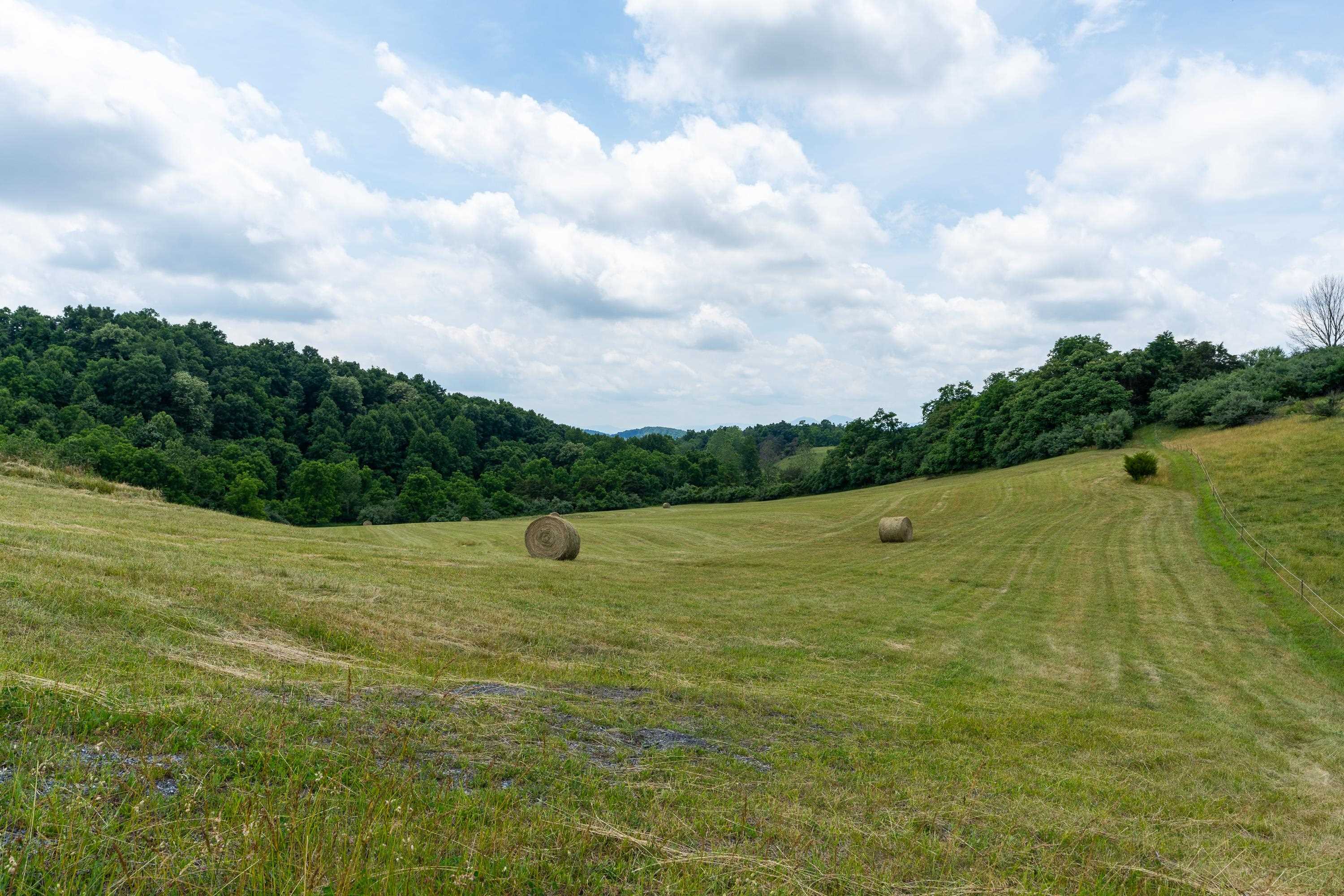25 Koogler Trail Raphine, VA 24472 - Photo 16 of 16