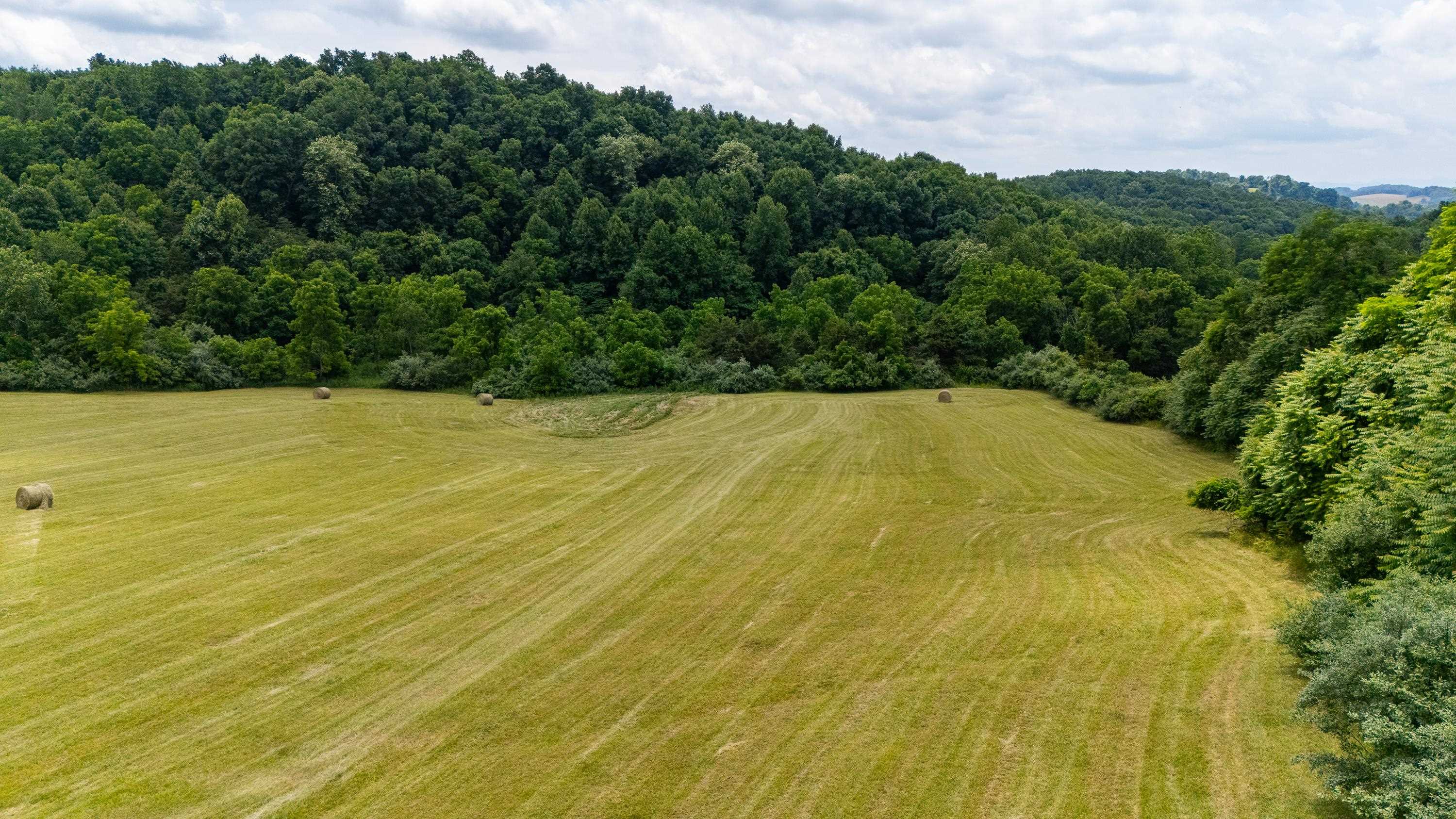 25 Koogler Trail Raphine, VA 24472 - Photo 3 of 16 a view of an outdoor space and swimming pool