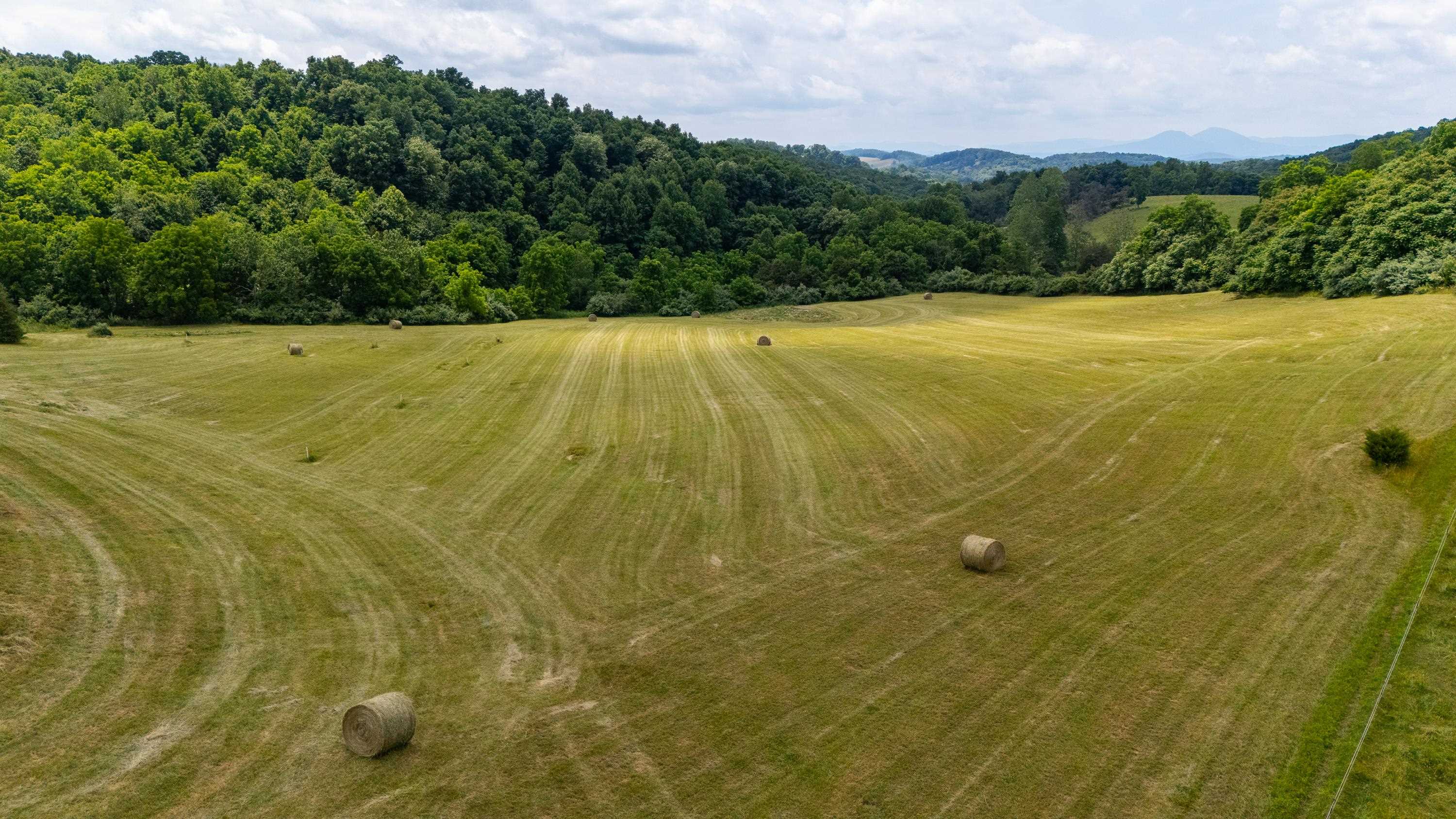 25 Koogler Trail Raphine, VA 24472 - Photo 4 of 16