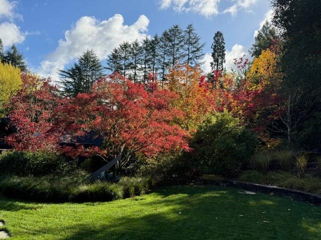 160 Phillip Road Woodside, CA 94062 - Photo 41 of 47