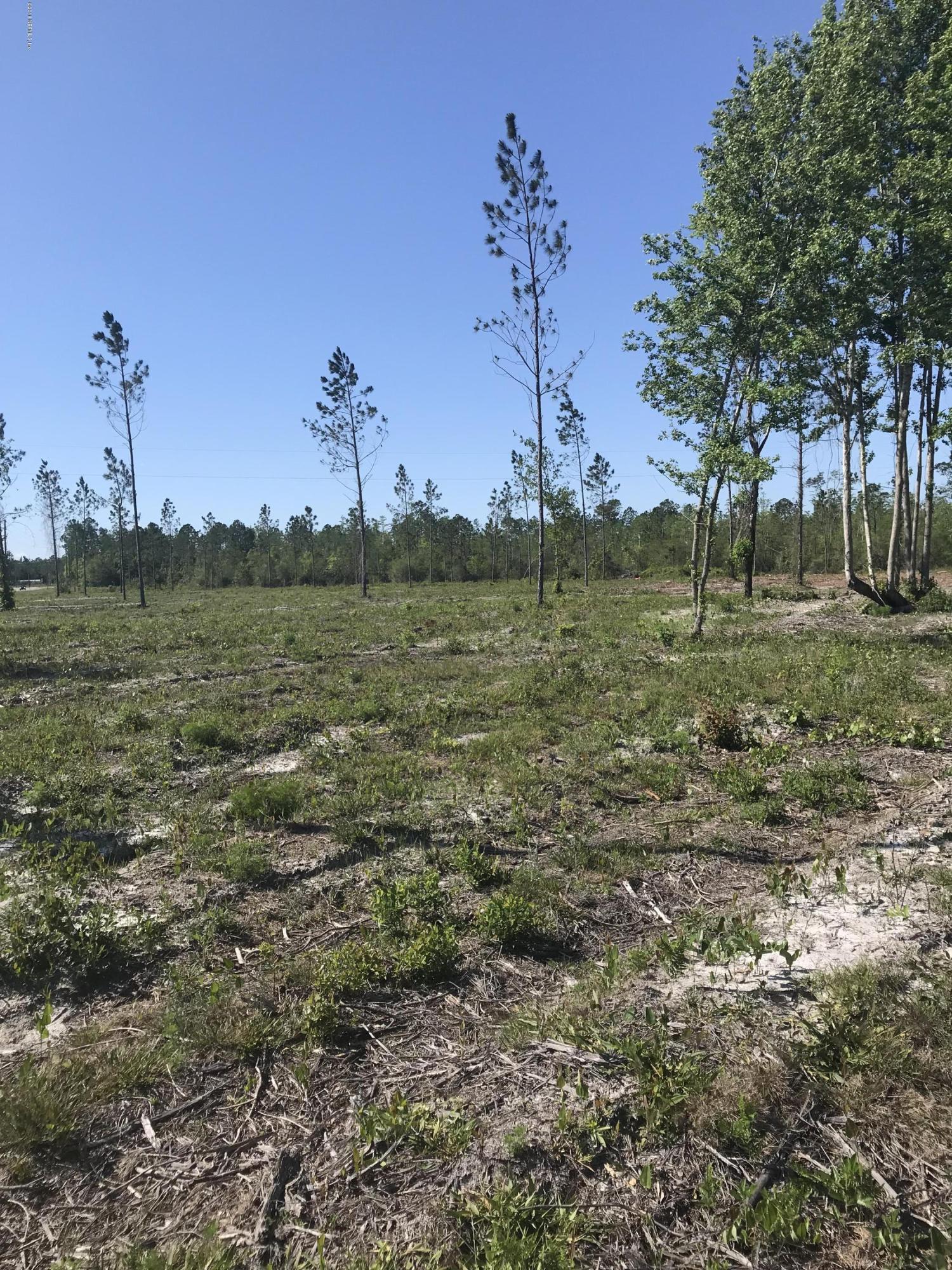 0 Co Road Hilliard, FL 32046 - Photo 3 of 7 IMG_8508