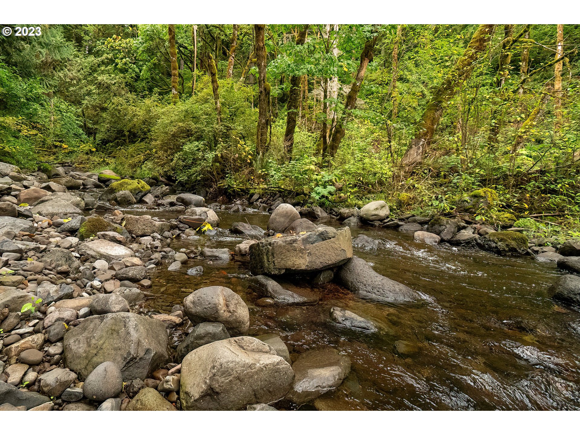 2142 Duncan Creek Road Stevenson, WA 98648 - Photo 30 of 48 Gallery Image 30