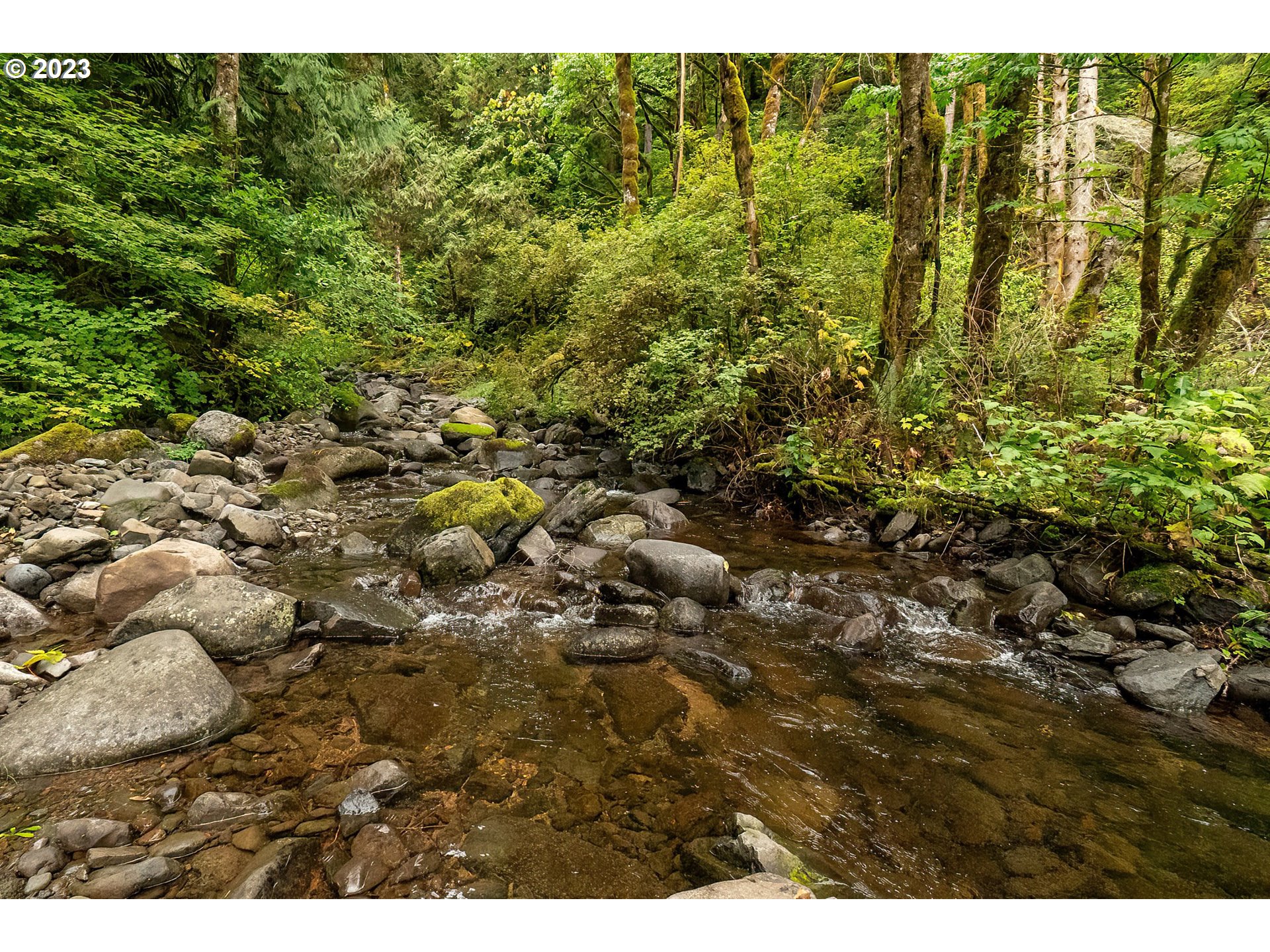 2142 Duncan Creek Road Stevenson, WA 98648 - Photo 31 of 48 Gallery Image 31
