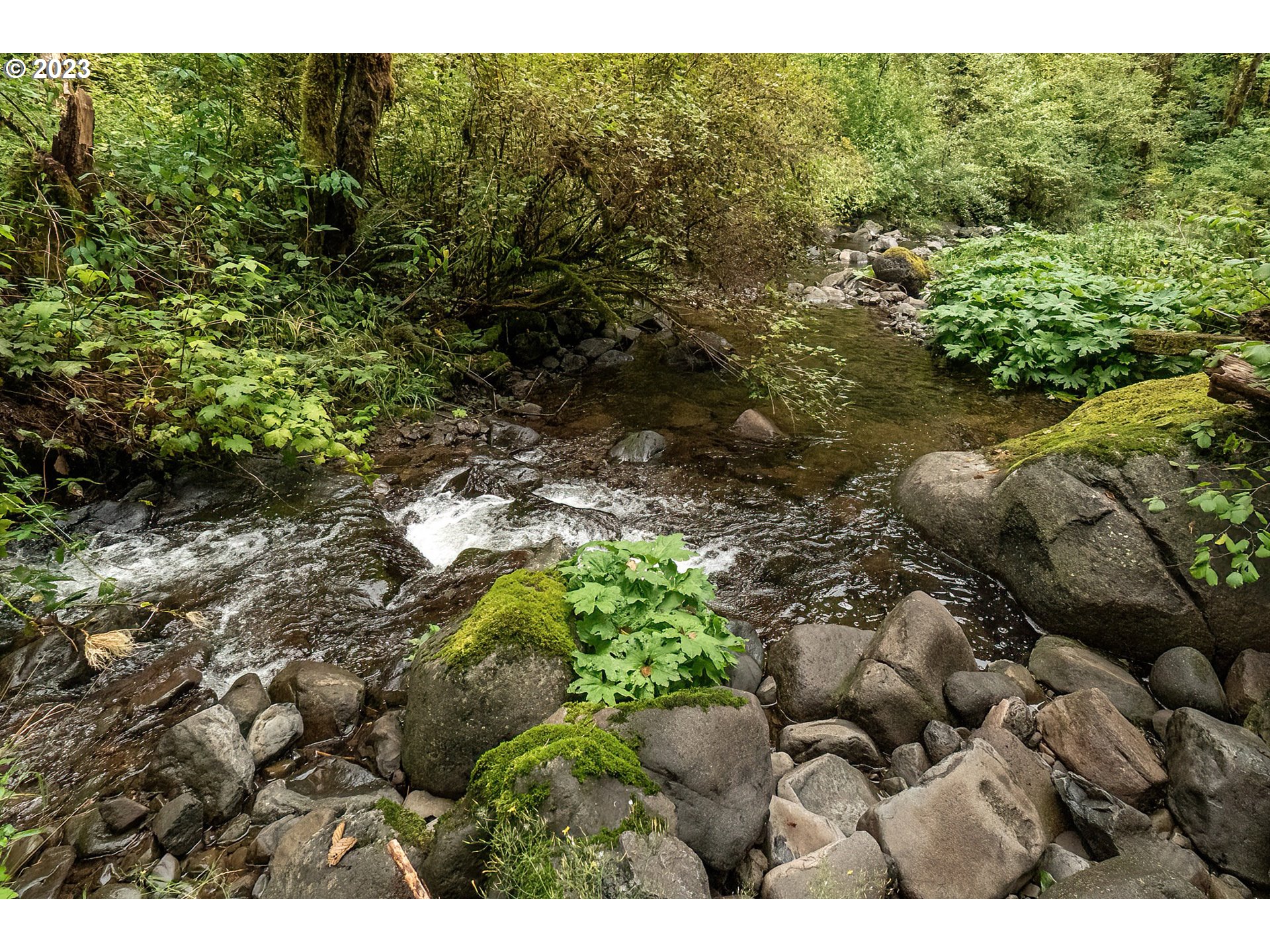 2142 Duncan Creek Road Stevenson, WA 98648 - Photo 32 of 48 Gallery Image 32