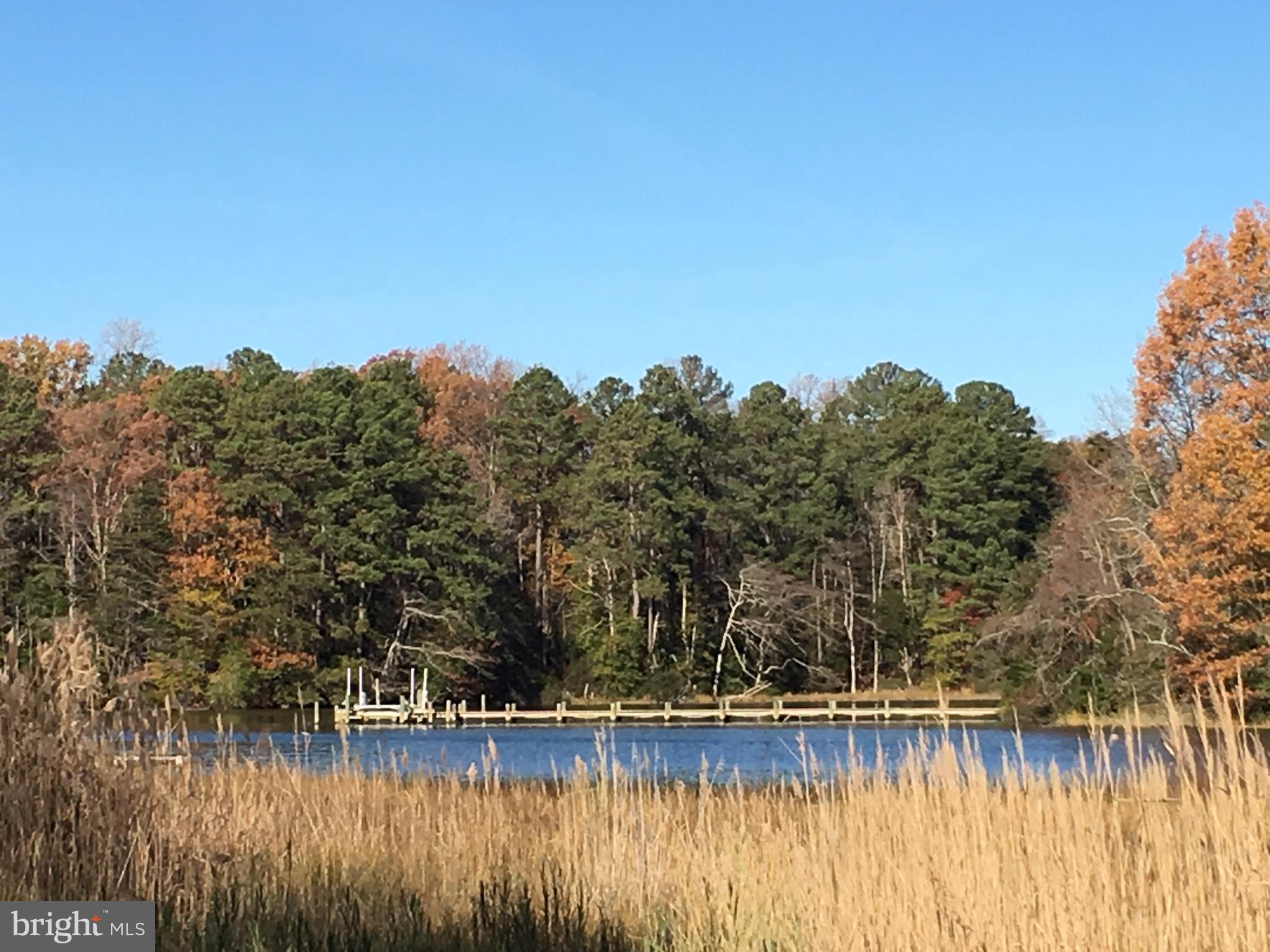 11740 Perry Branch Road Newburg, MD 20664 - Photo 7 of 7 water view from marsh