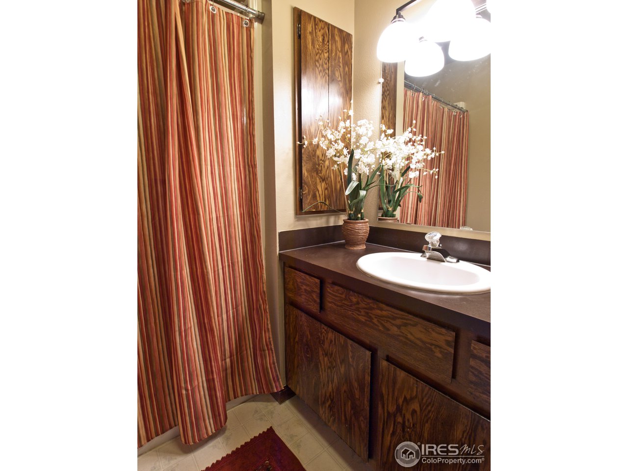 534 Del Clair Road Fort Collins, CO 80525 - Photo 15 of 25 Bath